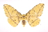  ( - INB0003935026)  @14 [ ] Copyright (2012) I. Chacon Instituto Nacional de Biodiversidad
