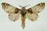  ( - INB0003935304)  @11 [ ] Copyright (2012) Juan Mata Lorenzen Unspecified