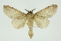  ( - INB0003935304)  @11 [ ] Copyright (2012) Juan Mata Lorenzen Unspecified