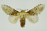  ( - INB0003935737)  @11 [ ] Copyright (2012) Juan Mata Lorenzen Unspecified