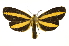  ( - INB0003936111)  @11 [ ] Copyright (2012) Juan Mata Lorenzen Unspecified