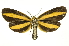  ( - INB0003936111)  @11 [ ] Copyright (2012) Juan Mata Lorenzen Unspecified