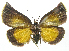  ( - INB0003943084)  @12 [ ] CreativeCommons - Attribution Non-Commercial Share-Alike  National Biodiversity Institute of Costa Rica National Biodiversity Institute of Costa Rica