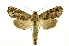  ( - INB0003943156)  @14 [ ] Copyright (2012) Juan Mata Lorenzen Unspecified