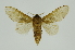  ( - INB0003943225)  @11 [ ] Copyright (2012) Juan Mata Lorenzen Unspecified