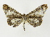  ( - INB0003943236)  @14 [ ] Copyright (2012) J. Montero Instituto Nacional de Biodiversidad