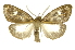  ( - INB0003943272)  @12 [ ] Copyright (2012) Juan Mata Lorenzen Unspecified