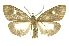  ( - INB0003943272)  @13 [ ] Copyright (2012) Juan Mata Lorenzen Unspecified