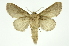  ( - INB0003943281)  @13 [ ] Copyright (2012) Juan Mata Lorenzen Unspecified