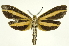  ( - INB0003943309)  @11 [ ] Copyright (2012) Juan Mata Lorenzen Unspecified