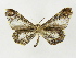  ( - INB0003943316)  @11 [ ] Copyright (2012) J. Montero Instituto Nacional de Biodiversidad