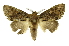  ( - INB0003943349)  @14 [ ] Copyright (2012) Juan Mata Lorenzen Unspecified