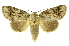  ( - INB0003943356)  @14 [ ] Copyright (2012) Juan Mata Lorenzen Unspecified