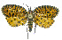  ( - INB0003944215)  @14 [ ] CreativeCommons - Attribution Non-Commercial Share-Alike (2012) National Biodiversity Institute of Costa Rica National Biodiversity Institute of Costa Rica