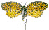  ( - INB0003944215)  @12 [ ] CreativeCommons - Attribution Non-Commercial Share-Alike (2012) National Biodiversity Institute of Costa Rica National Biodiversity Institute of Costa Rica
