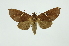  ( - INB0003946733)  @14 [ ] Copyright (2012) Juan Mata Lorenzen INBio