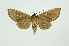  ( - INB0003946733)  @13 [ ] Copyright (2012) Juan Mata Lorenzen INBio
