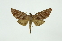  ( - INB0003947140)  @13 [ ] Copyright (2012) Juan Mata Lorenzen INBio