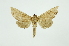 ( - INB0003947146)  @13 [ ] Copyright (2012) Juan Mata Lorenzen INBio