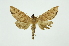  ( - INB0003947155)  @13 [ ] Copyright (2012) Juan Mata Lorenzen INBio
