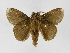  ( - INB0003947241)  @14 [ ] Copyright (2012) J. Montero Instituto Nacional de Biodiversidad