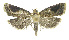  ( - INB0003955590)  @12 [ ] CreativeCommons - Attribution Non-Commercial Share-Alike (2012) National Biodiversity Institute of Costa Rica National Biodiversity Institute of Costa Rica
