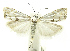  (cramBioLep01 BioLep673 - INB0003955636)  @14 [ ] CreativeCommons - Attribution Non-Commercial Share-Alike (2012) National Biodiversity Institute of Costa Rica National Biodiversity Institute of Costa Rica