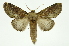  ( - INB0003955779)  @15 [ ] Copyright (2012) Juan Mata Lorenzen Unspecified