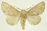  ( - INB0003956370)  @15 [ ] Copyright (2012) J. Montero INBio