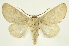  ( - INB0003956370)  @13 [ ] Copyright (2012) J. Montero INBio