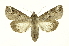  ( - INB0003956448)  @14 [ ] Copyright (2012) Juan Mata Lorenzen Unspecified