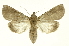  ( - INB0003956448)  @14 [ ] Copyright (2012) Juan Mata Lorenzen Unspecified