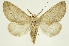  ( - INB0003956485)  @14 [ ] Copyright (2012) J. Montero INBio