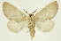  ( - INB0003956485)  @13 [ ] Copyright (2012) J. Montero INBio