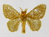  ( - INB0003958564)  @14 [ ] Copyright (2012) J. Montero Instituto Nacional de Biodiversidad