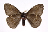  ( - INB0003965741)  @13 [ ] Copyright (2012) I. Chacon Instituto Nacional de Biodiversidad