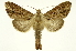  ( - INB0003969704)  @11 [ ] Copyright (2012) Juan Mata Lorenzen Unspecified