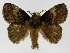  ( - INB0003969810)  @14 [ ] Copyright (2012) J. Montero Instituto Nacional de Biodiversidad