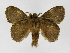  ( - INB0003969810)  @14 [ ] Copyright (2012) J. Montero Instituto Nacional de Biodiversidad