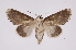  ( - INB0003969839)  @13 [ ] Copyright (2012) I. Chacon Instituto Nacional de Biodiversidad