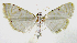  ( - INB0003969856)  @14 [ ] CreativeCommons - Attribution Non-Commercial Share-Alike  National Biodiversity Institute of Costa Rica National Biodiversity Institute of Costa Rica