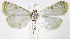  ( - INB0003969877)  @12 [ ] CreativeCommons - Attribution Non-Commercial Share-Alike  National Biodiversity Institute of Costa Rica National Biodiversity Institute of Costa Rica