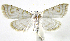  ( - INB0003969904)  @14 [ ] CreativeCommons - Attribution Non-Commercial Share-Alike  National Biodiversity Institute of Costa Rica National Biodiversity Institute of Costa Rica