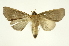  ( - INB0003971108)  @11 [ ] Copyright (2012) Juan Mata Lorenzen Unspecified