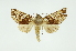  ( - INB0003971130)  @13 [ ] Copyright (2012) Juan Mata Lorenzen Unspecified