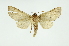  ( - INB0003971130)  @12 [ ] Copyright (2012) Juan Mata Lorenzen Unspecified