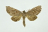  ( - INB0003971131)  @13 [ ] Copyright (2012) Juan Mata Lorenzen INBio