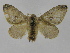  ( - INB0003976927)  @13 [ ] Copyright (2012) J. Montero Instituto Nacional de Biodiversidad