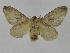 ( - INB0003976927)  @12 [ ] Copyright (2012) J. Montero Instituto Nacional de Biodiversidad