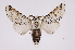  ( - INB0003976976)  @14 [ ] Copyright (2012) I. Chacon Instituto Nacional de Biodiversidad